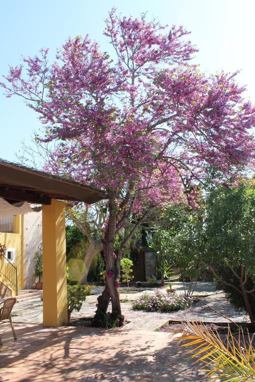 Agroturismo Son Estrany Llucmajor  Exteriör bild